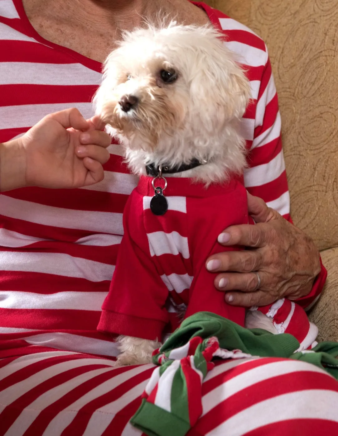 Dog Stripes Pajamas