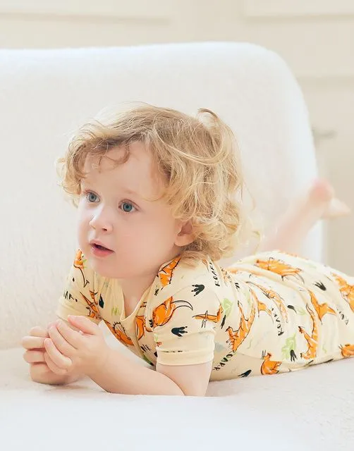 Picnic Dinosaur Short PJs