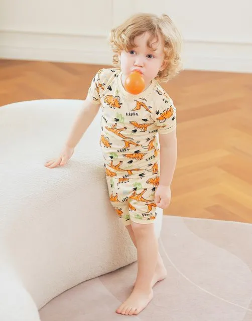 Picnic Dinosaur Short PJs