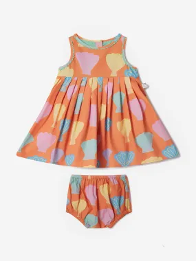 Stella McCartney Baby Girls Shell Dress With Knickers in Orange